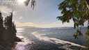 ./images/koeye/fitz-hugh/20250923/fitz-hugh20250923_152501M.jpg