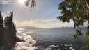 ./images/koeye/fitz-hugh/20250923/fitz-hugh20250923_153002M.jpg