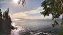 ./images/koeye/fitz-hugh/20250923/fitz-hugh20250923_153501M.jpg