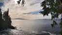 ./images/koeye/fitz-hugh/20250923/fitz-hugh20250923_154502M.jpg