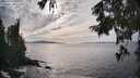 ./images/koeye/fitz-hugh/20250923/fitz-hugh20250923_163501M.jpg
