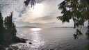 ./images/koeye/fitz-hugh/20250923/fitz-hugh20250923_164502M.jpg