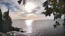 ./images/koeye/fitz-hugh/20250923/fitz-hugh20250923_170501M.jpg