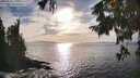./images/koeye/fitz-hugh/20250923/fitz-hugh20250923_171001M.jpg
