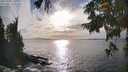 ./images/koeye/fitz-hugh/20250923/fitz-hugh20250923_172001M.jpg
