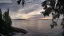 ./images/koeye/fitz-hugh/20250923/fitz-hugh20250923_183502M.jpg