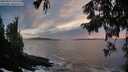 ./images/koeye/fitz-hugh/20250923/fitz-hugh20250923_191501M.jpg