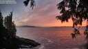 ./images/koeye/fitz-hugh/20250923/fitz-hugh20250923_193002M.jpg