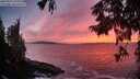 ./images/koeye/fitz-hugh/20250923/fitz-hugh20250923_193501M.jpg