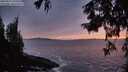 ./images/koeye/fitz-hugh/20250923/fitz-hugh20250923_195001M.jpg