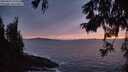 ./images/koeye/fitz-hugh/20250923/fitz-hugh20250923_195501M.jpg