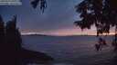 ./images/koeye/fitz-hugh/20250923/fitz-hugh20250923_200501M.jpg