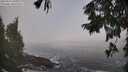 ./images/koeye/fitz-hugh/20250924/fitz-hugh20250924_095002M.jpg