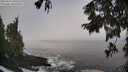 ./images/koeye/fitz-hugh/20250924/fitz-hugh20250924_095501M.jpg