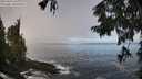 ./images/koeye/fitz-hugh/20250924/fitz-hugh20250924_102001M.jpg