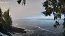 ./images/koeye/fitz-hugh/20250924/fitz-hugh20250924_103001M.jpg