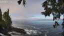 ./images/koeye/fitz-hugh/20250924/fitz-hugh20250924_103501M.jpg