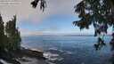 ./images/koeye/fitz-hugh/20250924/fitz-hugh20250924_104001M.jpg