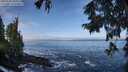 ./images/koeye/fitz-hugh/20250924/fitz-hugh20250924_104501M.jpg