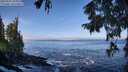 ./images/koeye/fitz-hugh/20250924/fitz-hugh20250924_105001M.jpg