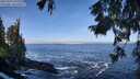 ./images/koeye/fitz-hugh/20250924/fitz-hugh20250924_105501M.jpg