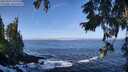 ./images/koeye/fitz-hugh/20250924/fitz-hugh20250924_110001M.jpg