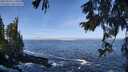 ./images/koeye/fitz-hugh/20250924/fitz-hugh20250924_110501M.jpg