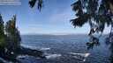 ./images/koeye/fitz-hugh/20250924/fitz-hugh20250924_111001M.jpg