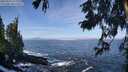 ./images/koeye/fitz-hugh/20250924/fitz-hugh20250924_111501M.jpg