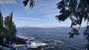 ./images/koeye/fitz-hugh/20250924/fitz-hugh20250924_112001M.jpg