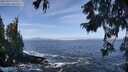 ./images/koeye/fitz-hugh/20250924/fitz-hugh20250924_112502M.jpg