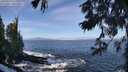 ./images/koeye/fitz-hugh/20250924/fitz-hugh20250924_113001M.jpg