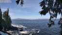 ./images/koeye/fitz-hugh/20250924/fitz-hugh20250924_113501M.jpg