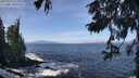 ./images/koeye/fitz-hugh/20250924/fitz-hugh20250924_115002M.jpg