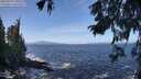 ./images/koeye/fitz-hugh/20250924/fitz-hugh20250924_120501M.jpg