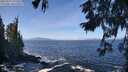 ./images/koeye/fitz-hugh/20250924/fitz-hugh20250924_121501M.jpg