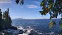 ./images/koeye/fitz-hugh/20250924/fitz-hugh20250924_125001M.jpg