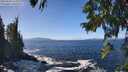 ./images/koeye/fitz-hugh/20250924/fitz-hugh20250924_130001M.jpg