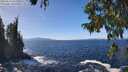 ./images/koeye/fitz-hugh/20250924/fitz-hugh20250924_132501M.jpg