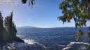 ./images/koeye/fitz-hugh/20250924/fitz-hugh20250924_133501M.jpg