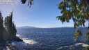./images/koeye/fitz-hugh/20250924/fitz-hugh20250924_134001M.jpg