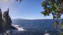 ./images/koeye/fitz-hugh/20250924/fitz-hugh20250924_134501M.jpg