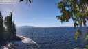 ./images/koeye/fitz-hugh/20250924/fitz-hugh20250924_135501M.jpg