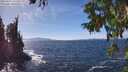 ./images/koeye/fitz-hugh/20250924/fitz-hugh20250924_141501M.jpg