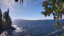 ./images/koeye/fitz-hugh/20250924/fitz-hugh20250924_142001M.jpg