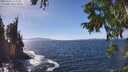 ./images/koeye/fitz-hugh/20250924/fitz-hugh20250924_143001M.jpg