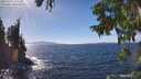 ./images/koeye/fitz-hugh/20250924/fitz-hugh20250924_143501M.jpg
