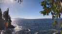 ./images/koeye/fitz-hugh/20250924/fitz-hugh20250924_144001M.jpg