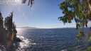./images/koeye/fitz-hugh/20250924/fitz-hugh20250924_145001M.jpg