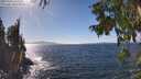 ./images/koeye/fitz-hugh/20250924/fitz-hugh20250924_145501M.jpg